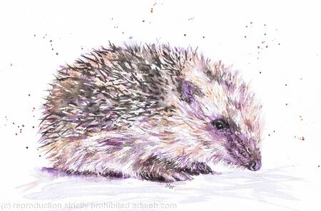 Hedgepig