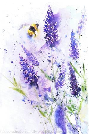 Bee on Lavender