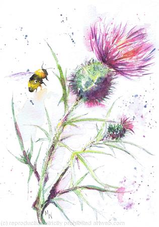 Bee and Thistle