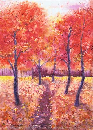 Autumn Trees in the Park