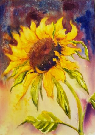 Sunflower Burst