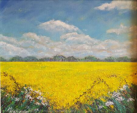 Field of Yellow