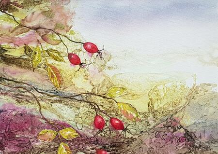 Rosehips Abstract