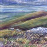 Buzzards over Dartmoor 