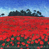 Poppies on Folly HIll