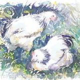Two Hens in the Garden