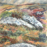 Rocks and Gorse on Dartmoor