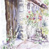 Foxgloves by the Barn Door