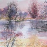 Flooded Fields with Bullfinch