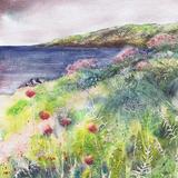 Sea Thrift, Cornwall