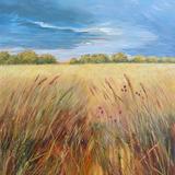 Dark Sky over Oxfordshire Field 