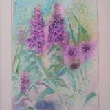 Foxglove Fantasy