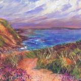 Purple Heathers by the Coastpath