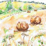 Straw Bales in the Field