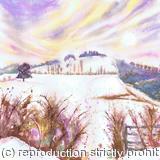 Winter Sun, Wittenham Clumps