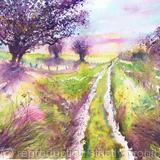 Winter Hawthorns by the Ridge