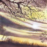 Evening Light, Winter Trees