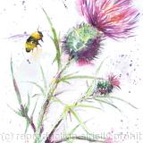 Bee and Thistle