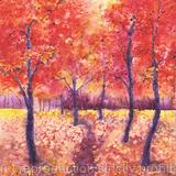 Autumn Trees in the Park