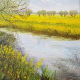 Summer Morning by the Thames