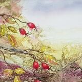 Rosehips Abstract