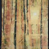 Infinity Trees in Black 