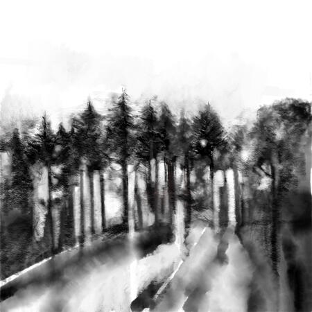 Treeline from Le Rest