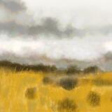 View from Mont d’Arée