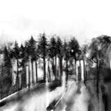 Treeline from Le Rest