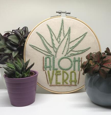 ALOH VERA (Plant Observation)