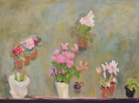 Cyclamen, primulas and hyacinths