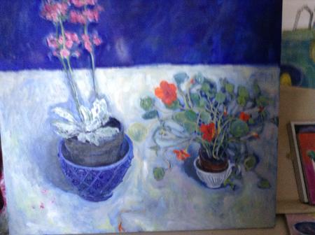 Blue, , nasturtiums, plant