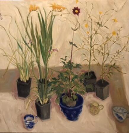 Marchants Hardy Plants 1