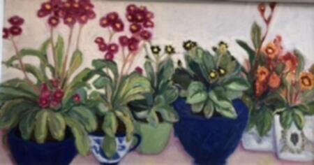 Auricula , Blue Bowls 1
