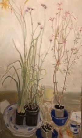 Marchants Hardy  Plants2