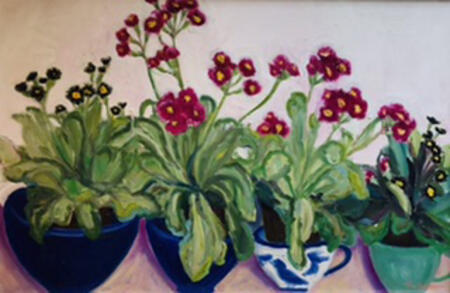 Auricula, Blue Bowls 2