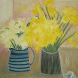 Dianes daffodils 2