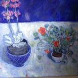 Blue, , nasturtiums, plant