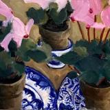 Cyclamen, Delft plates