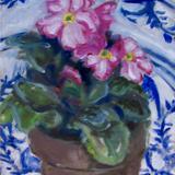 Primula, Delft plate