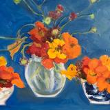 Blue, nasturtiums in pots