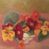 Nasturtiums, white cup