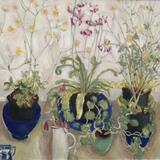 Pots of Buttercups, Blue Bowls