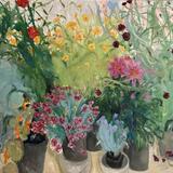 More Beetham Plants2