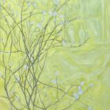 Amalanchier, castle doves