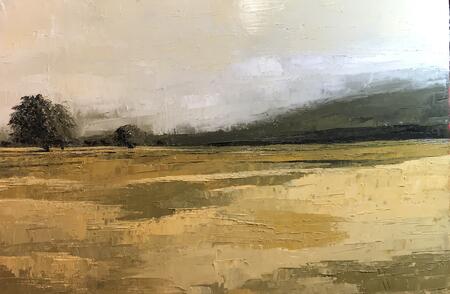 Morning Pentrecwlyda Fields, Vale of Neath 2020