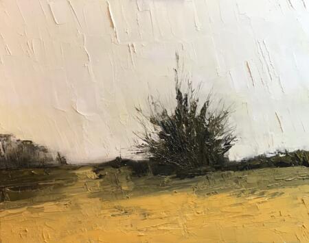 Mosshouse Woods, Gnoll Estate, Neath, 2020