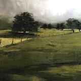 Pentreclwyda Fields, Vale of Neath (2) 2020