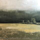 Late Afternoon, Pentreclwyda Fields, Vale of Neath 2020