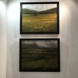 Pentreclwyda Fields (1) and Tonna Fields